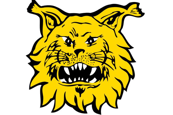 Ilveksen keltainen logo